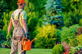 Landscaper carrying plants and a watering can