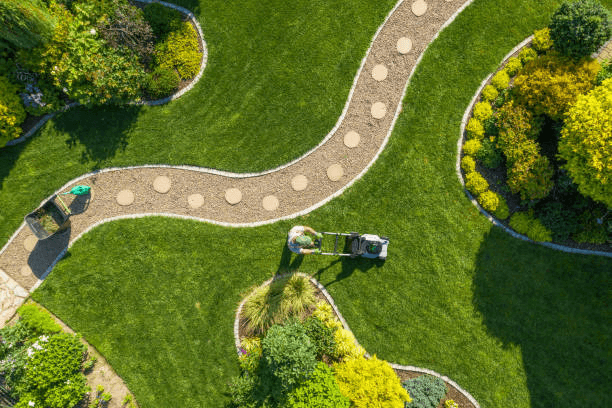 Aerial view of a manicured lawn with curved garden paths