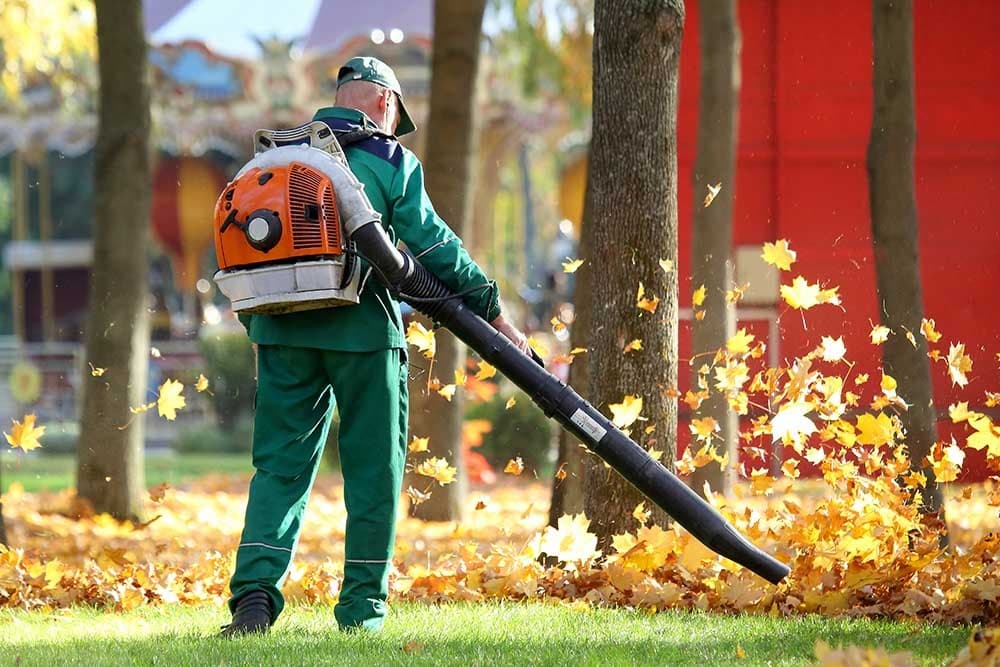 Landscaper clearing autumn leaves with a backpack blower